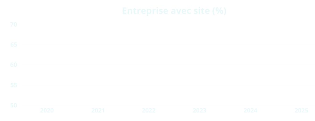 % entreprise avec site (fond)6